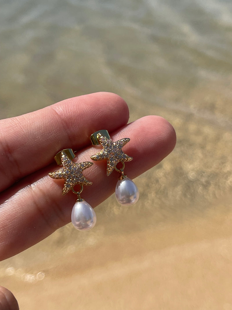 Starfish Earrings