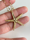 Starfish In Chain