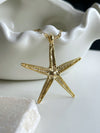 Starfish In Chain
