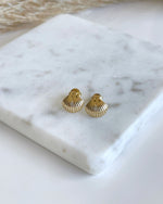 Shell Studs