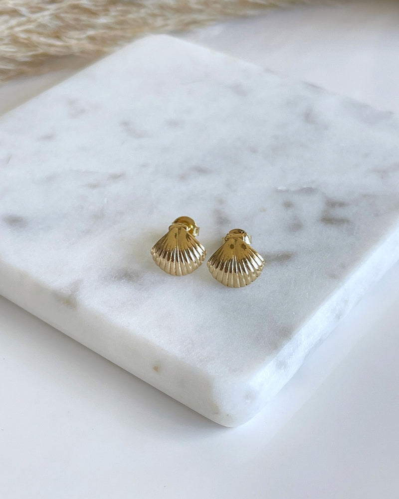 Shell Studs